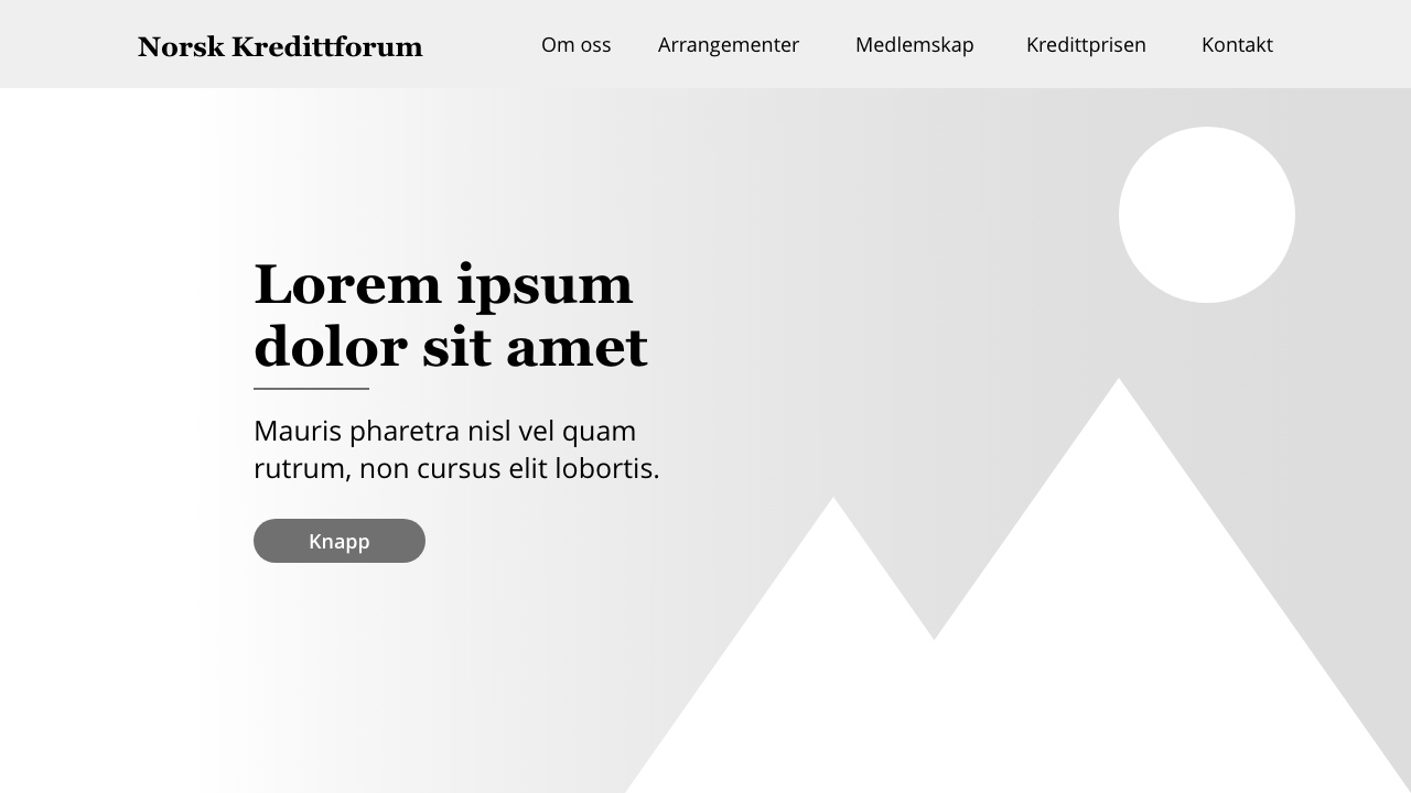 Skisser fra nettsiden til Norsk Kredittforum, visning av øverste seksjon på forsiden.